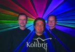 Die-Kolibris