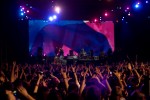 Konzerte & Shows